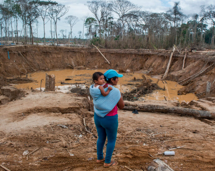gold-mining-reduced-this-amazon-rainforest-to-a-moonscape.-now-miners-are-restoring-it