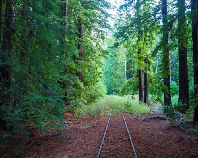 an-old-rail-track-in-northern-california-could-become-a-300-mile-hiking-trail