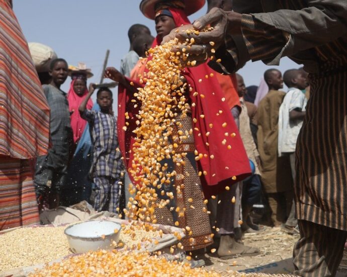 nearly-55-million-face-hunger-in-west-and-central-africa,-un-warns