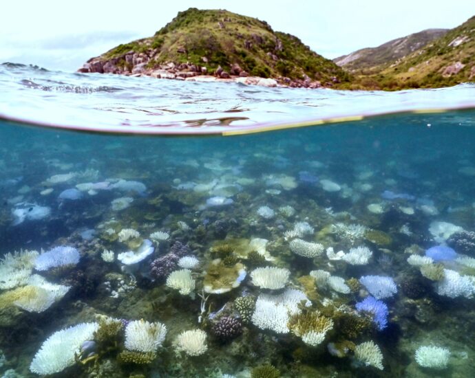 australia’s-great-barrier-reef-suffers-worst-bleaching-on-record