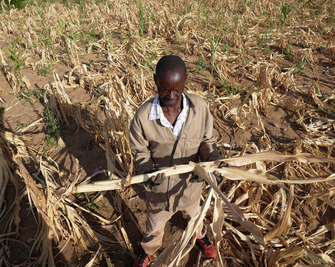 drought-pushes-millions-into-‘acute-hunger’-in-southern-africa