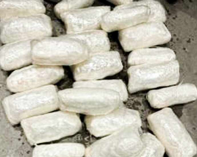 nearly-50-pounds-of-meth-hidden-in-ice-chest-full-of-fish-seized-at-border,-feds-say