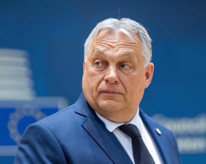 orban-backed-think-tank-courts-farmers-linked-to-far-right-ahead-of-eu-poll