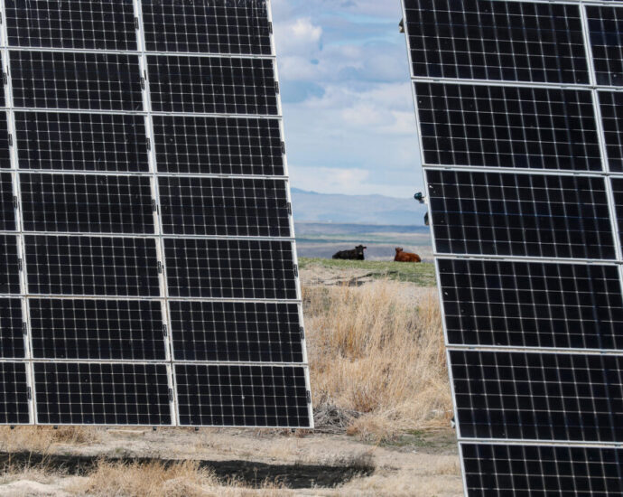 biden-administration-awards-wyoming-$30-million-from-new-‘solar-for-all’-grant