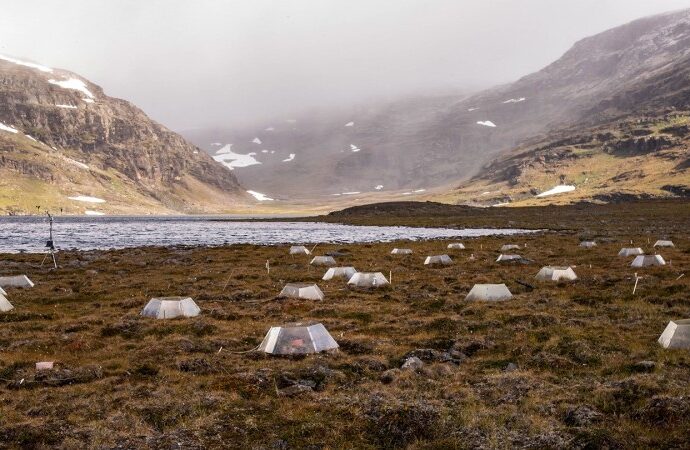 as-the-arctic-tundra-warms,-soil-microbes-likely-will-ramp-up-co2-production