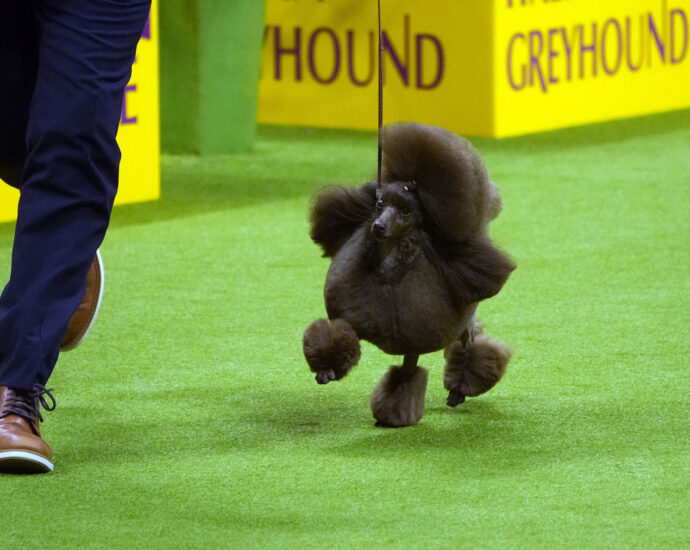 russia-makes-key-gains-around-kharkiv and-sage-the-miniature-poodle-wins-best-in-show:-morning-rundown