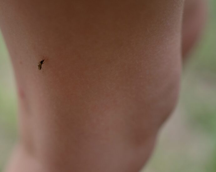 mosquitoes-are-swarming-around-houston-the-future-could-bring-even-more.