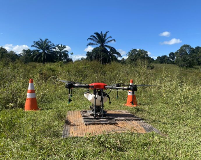 are-seed-sowing-drones-the-answer-to-global-deforestation?