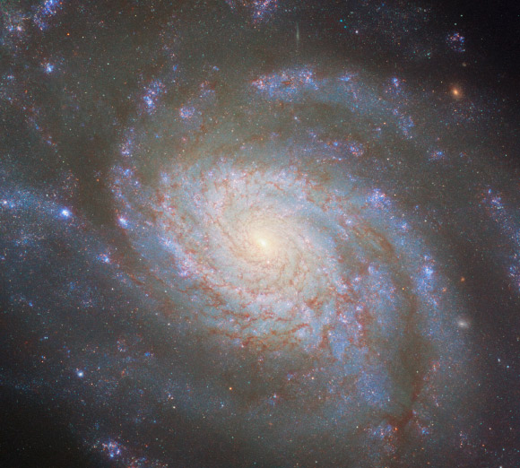 NGC 3810 Demonstrates Classical Spiral Structure in New Hubble Image
