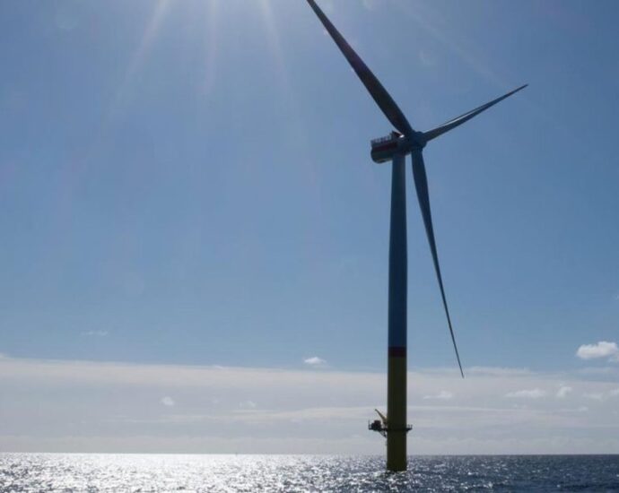 the-us-just-canceled-the-second-gulf-of-mexico-offshore-wind-lease-sale