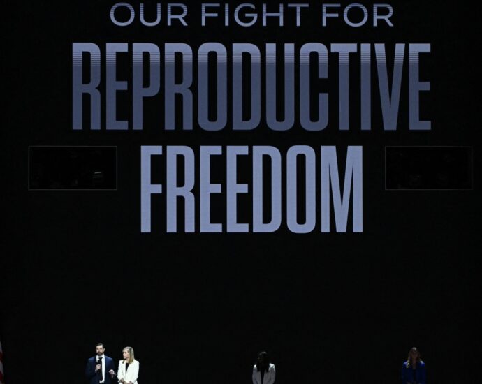 reproductive-health-is-a-major-topic-at-the-dnc.-here’s-the-current-state-of-abortion-laws