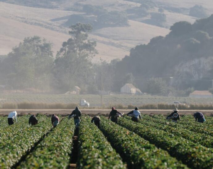 california-legislators-say-new-laws-must-protect-farmworkers-from-extreme-heat