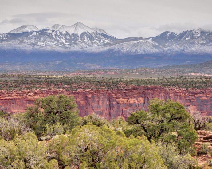 why-utah-is-suing-the-us.-for-control-of-public-land 