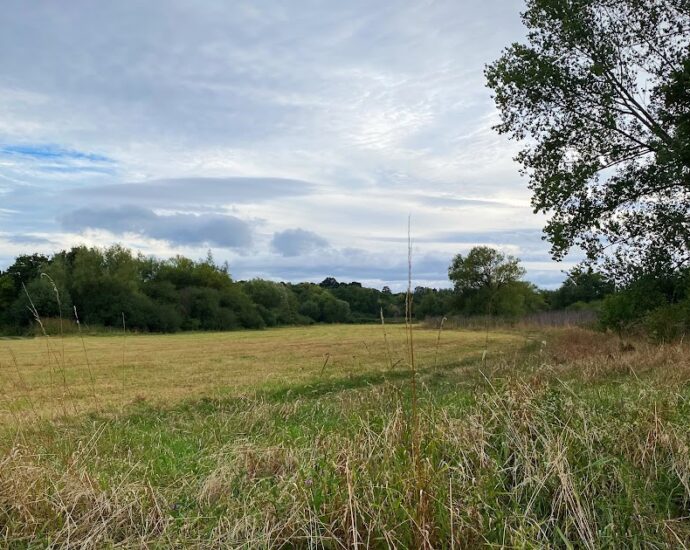 warwickshire-avon-–-chubsters-and-chthonophagia