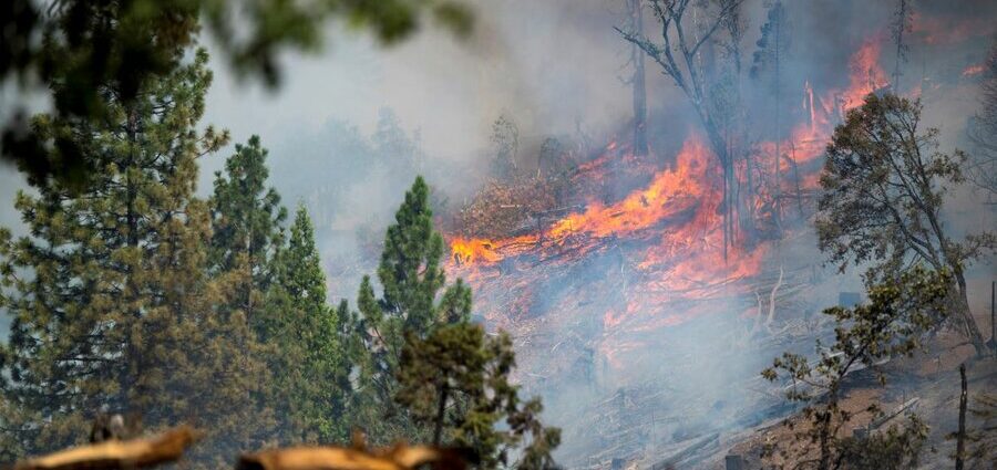 Wildfires rage across western US, Canada, as firefighters struggle to control them