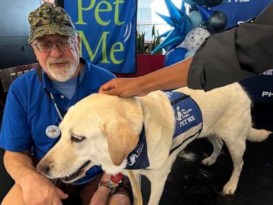 philadelphia-airport-celebrates-its-brigade-of-stress-busting-therapy-dogs