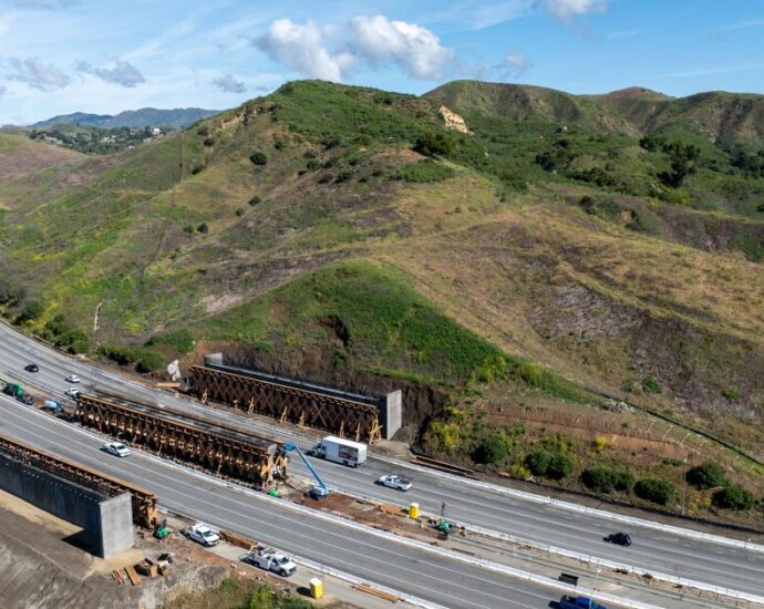 new-initiative-aims-to-turbocharge-wildlife-crossing-construction-across-california