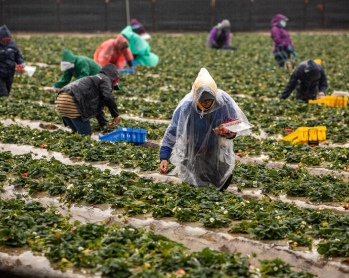 epa-thought-industry-funded-scientists-could-support-its-conclusion-that-a-long-regulated-pesticide-is-not-a-cancer-risk