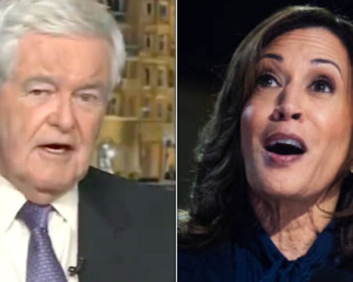 newt-gingrich-offers-extreme-debate-idea-that-kamala-harris-fans-actually-love