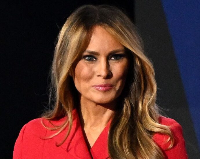 critics-spot-awkward-issue-with-melania-the-traitor’s-book-cover