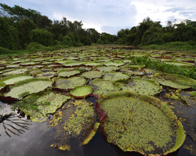 surging-methane-emissions-could-be-a-sign-of-a-major-climate-shift