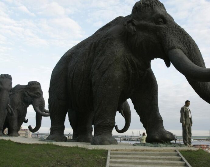 how-bringing-back-the-woolly-mammoth-could-save-species-that-still-walk-the-earth