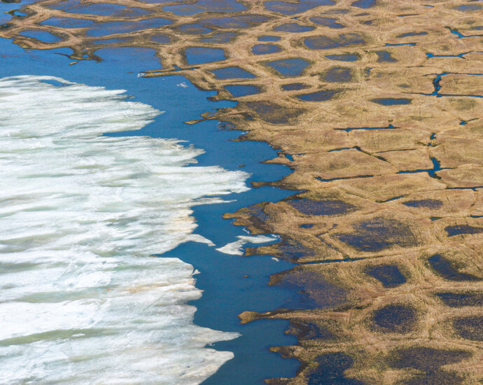 alaska’s-permafrost-is-thawing,-releasing-a-concerning-amount-of-mercury