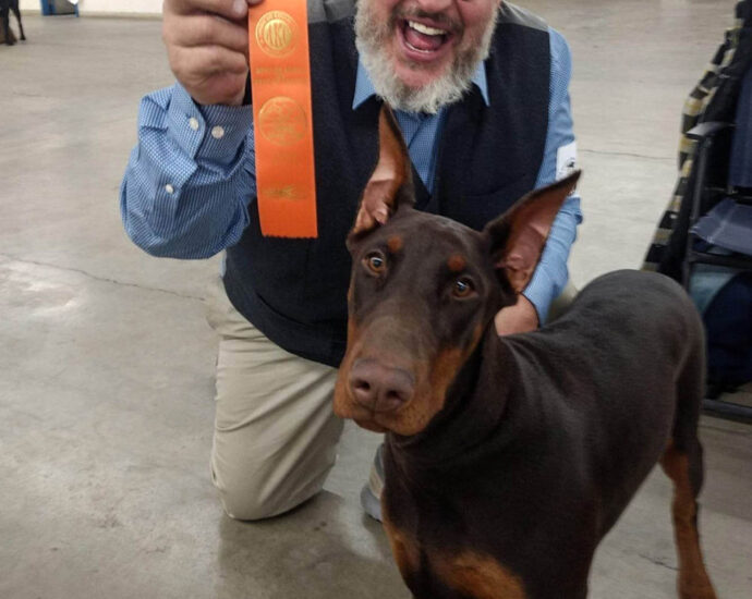 colorado-dog-breeder’s-suspicious-death-linked-to-missing-doberman-puppies