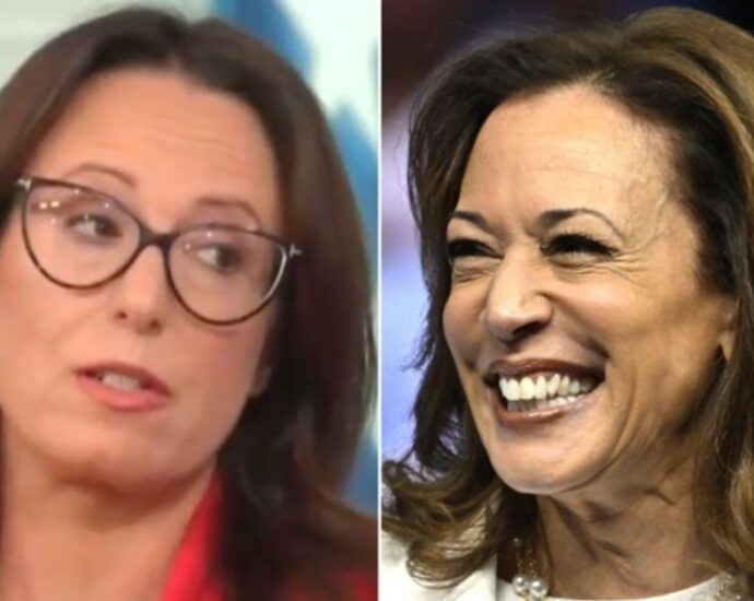 maggie-haberman-spots-‘concerted-effort’-by-kamala-harris-to-avoid-this-the-traitor-‘bait’