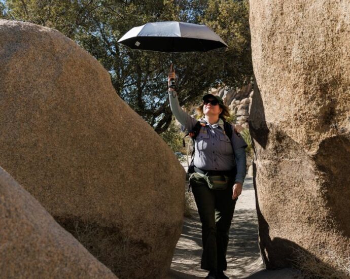 how-to-stay-safe-in-joshua-tree-national-park