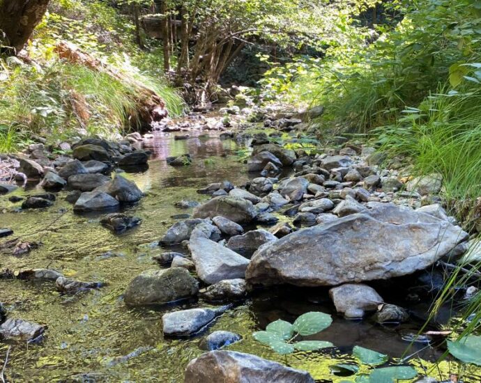 court-orders-california-county-to-ensure-groundwater-pumping-doesn’t-harm-streams-and-fish