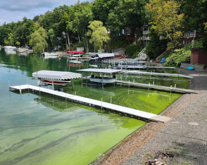 algal-blooms-ravaged-new-york’s-finger-lakes-during-final-week-of-august