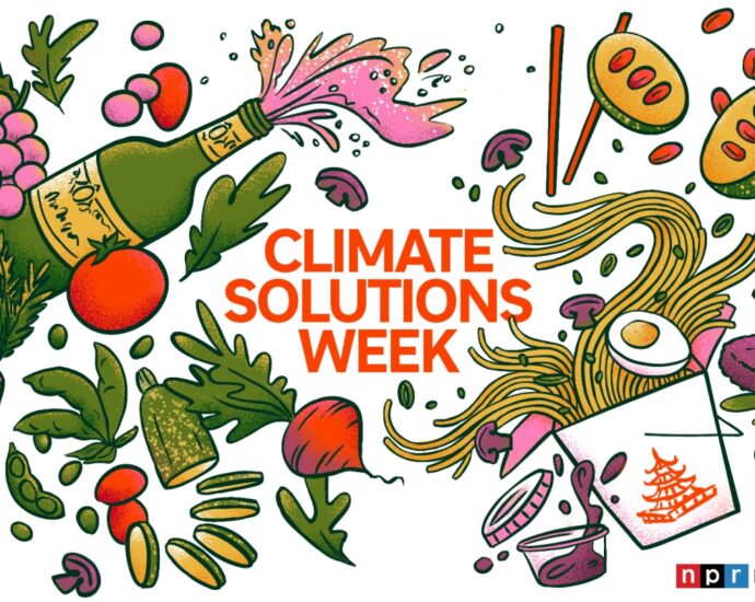 climate-solutions-week:-the-future-of-food