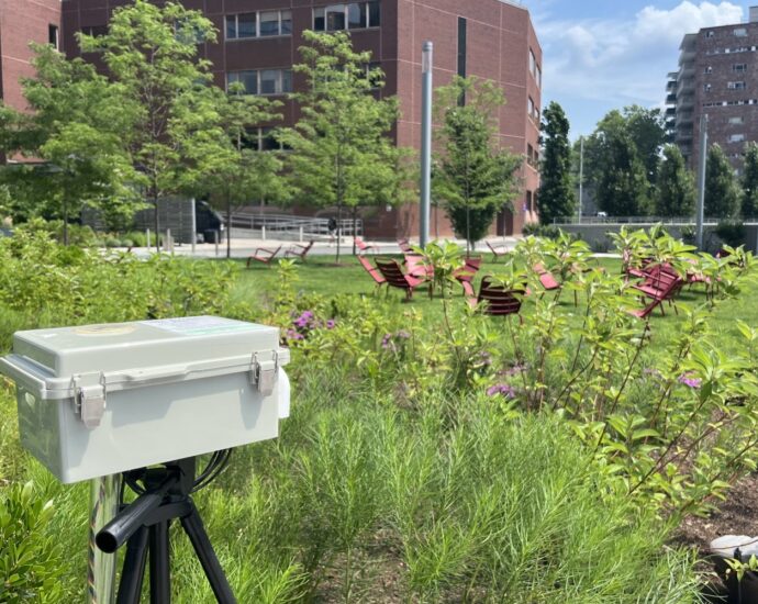 collaborative-effort-supports-an-mit-resilient-to-the-impacts-of-extreme-heat