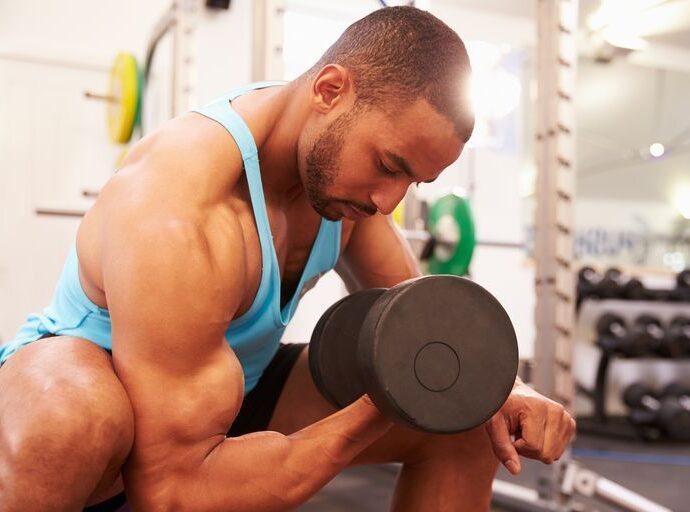 The 20 Best Biceps Exercises for Your Muscle-Building Workouts