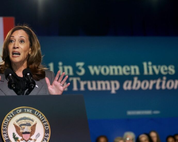 kamala-harris-to-women-denied-abortion-care-after-roe:-‘we-see-you-and-you-are-not-alone’