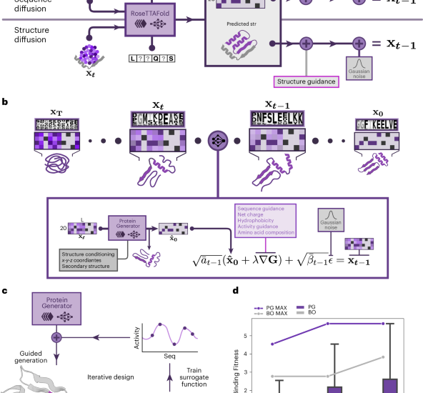 Multistate and functional protein design using RoseTTAFold sequence space diffusion