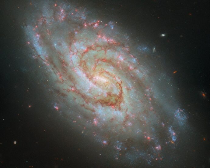 Hubble Captures Steller Nurseries in a Majestic Spiral