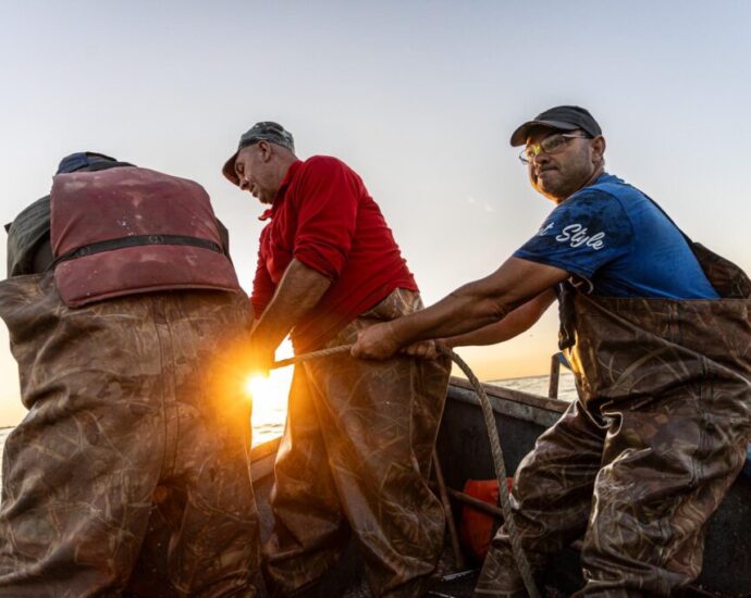 russia’s-war-devastates-black-sea-ecosystems-and-communities