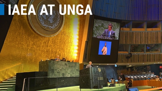 iaea-director-general-at-un-summit-of-the-future-and-general-assembly