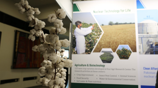 world-cotton-day:-the-role-of-nuclear-science