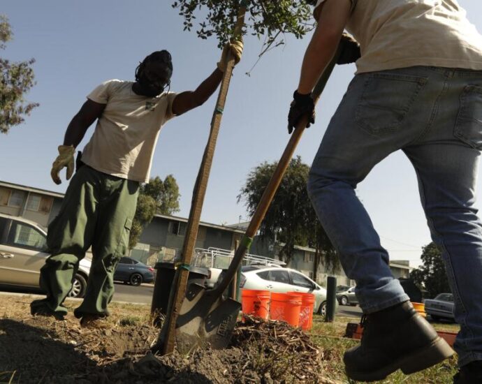 ‘there-is-no-easy-fix’:-study-reveals-attitudes-about-lack-of-trees-in-south-la.