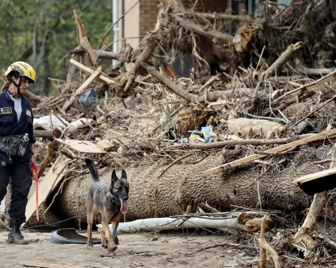 fema-offices-forced-to-halt-hurricane-helene-operations-due-to-threats,-militias