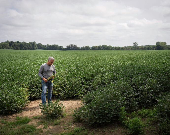 fossil-fuel-interests-are-working-to-kill-solar-in-one-ohio-county.-the-hometown-newspaper-is-helping