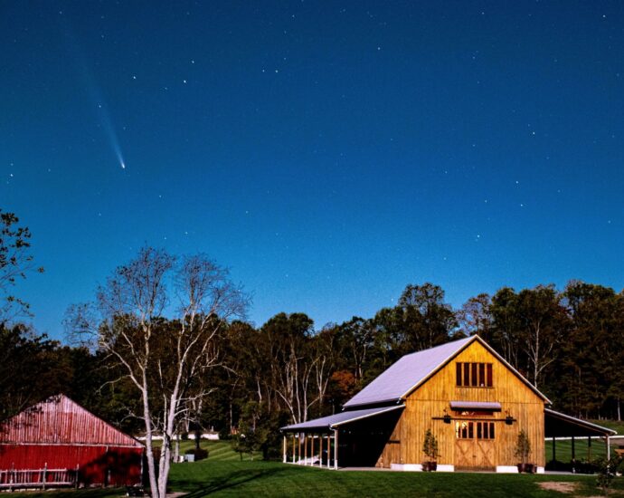 Comet Tsuchinshan-ATLAS is still visible in the night sky, but not for long