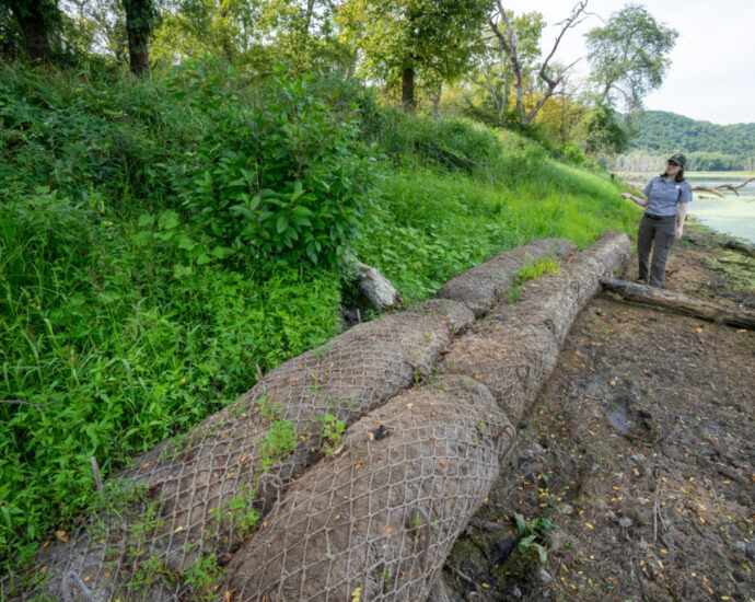 on-the-wisconsin-iowa-border,-the-mississippi-river-is-eroding-sacred-indigenous-mounds