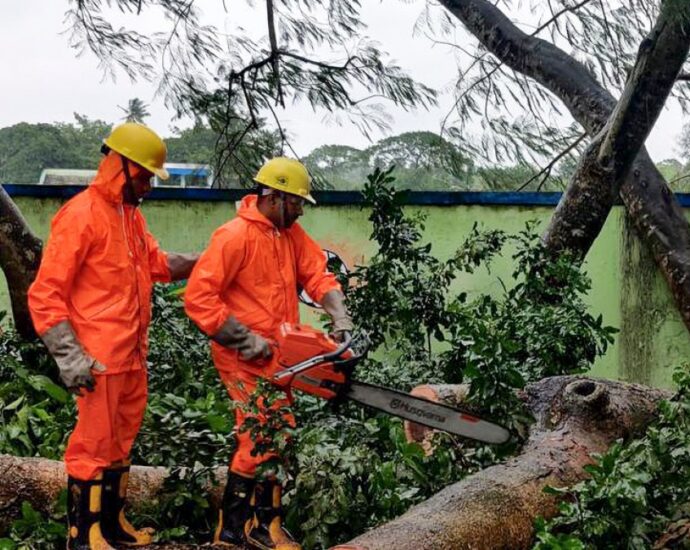 flood-risk-as-cyclone-dana-hits-india,-uprooting-power-lines-and-trees