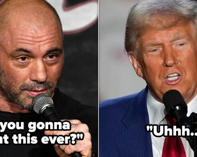 joe-rogan-quizzes-the-traitor-on-election-fraud-claims:-‘give-me-some-examples’