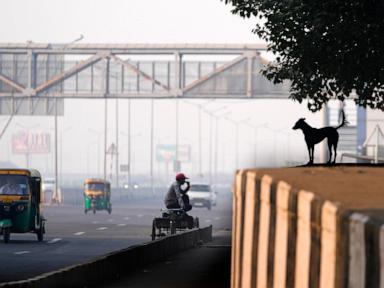 toxic-smog-cloaks-india’s-capital-as-diwali-firecrackers-push-air-pollution-to-hazardous-levels