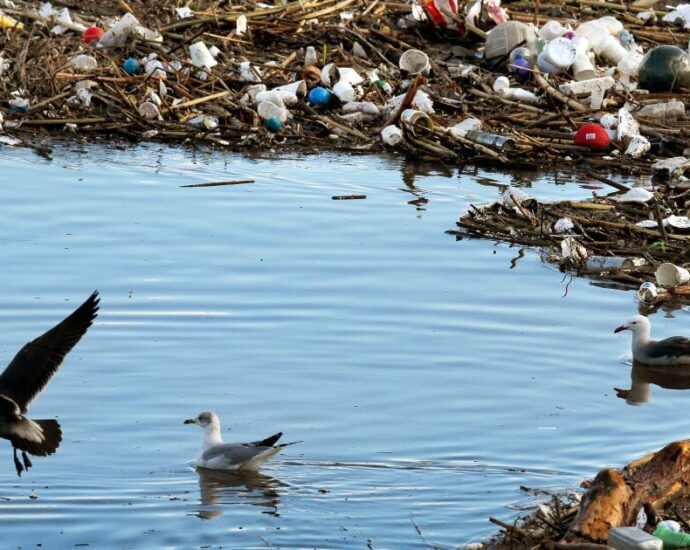 la.-county-sues-pepsi-and-coca-cola-over-their-role-in-ongoing-plastic-pollution-crisis